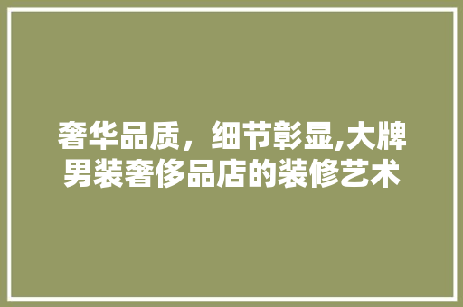 奢华品质，细节彰显,大牌男装奢侈品店的装修艺术