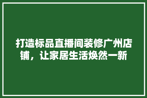 打造标品直播间装修广州店铺，让家居生活焕然一新