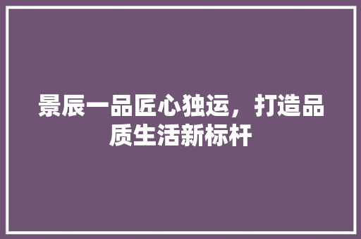 景辰一品匠心独运，打造品质生活新标杆