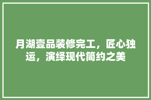 月湖壹品装修完工，匠心独运，演绎现代简约之美