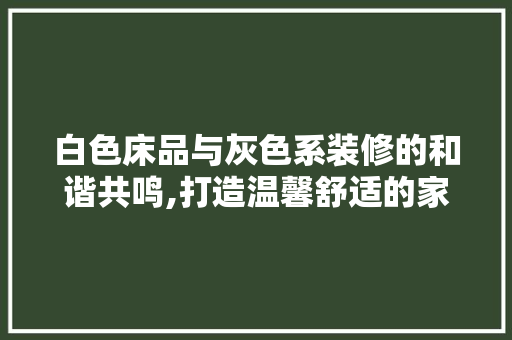 白色床品与灰色系装修的和谐共鸣,打造温馨舒适的家居空间