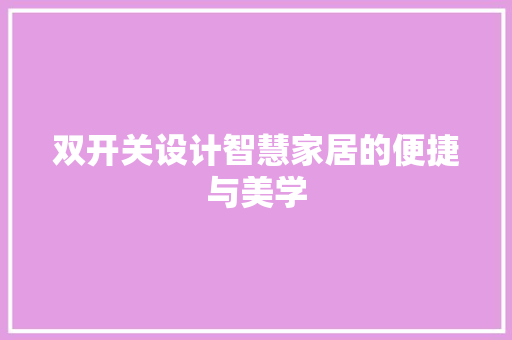 双开关设计智慧家居的便捷与美学