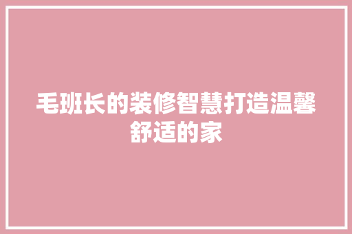 毛班长的装修智慧打造温馨舒适的家