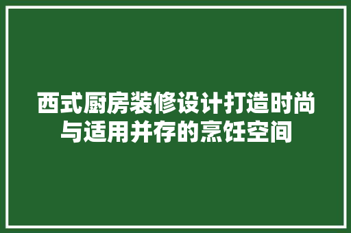 西式厨房装修设计打造时尚与适用并存的烹饪空间