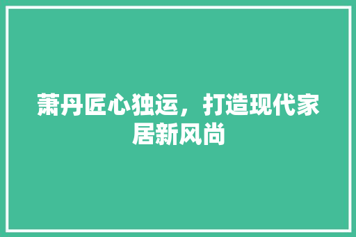 萧丹匠心独运，打造现代家居新风尚