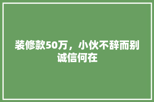 装修款50万，小伙不辞而别诚信何在