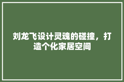 刘龙飞设计灵魂的碰撞，打造个化家居空间