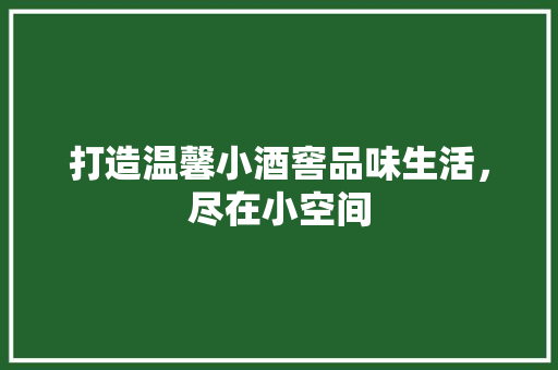 打造温馨小酒窖品味生活，尽在小空间
