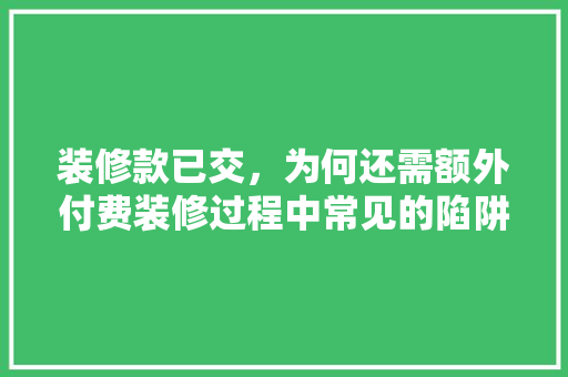 装修款已交，为何还需额外付费装修过程中常见的陷阱与应对步骤