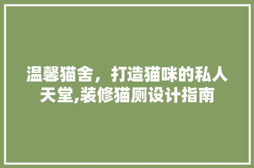温馨猫舍，打造猫咪的私人天堂,装修猫厕设计指南
