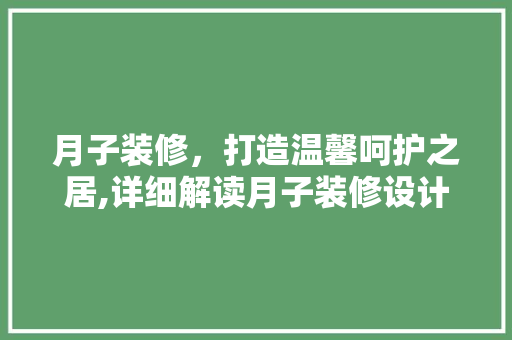 月子装修，打造温馨呵护之居,详细解读月子装修设计流程