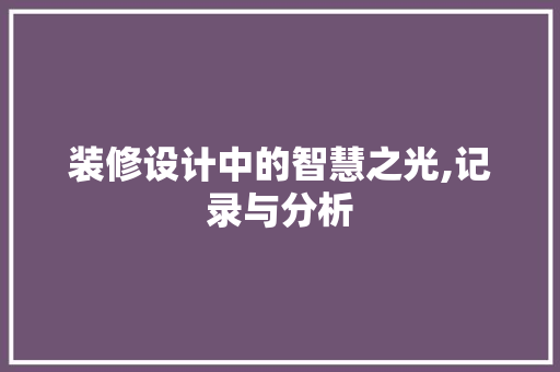 装修设计中的智慧之光,记录与分析