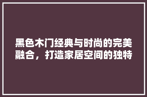 黑色木门经典与时尚的完美融合，打造家居空间的独特韵味