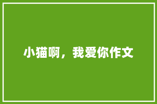 龚平的装修设计理念打造和谐人居，引领美好生活方式