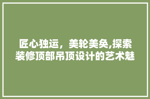 匠心独运，美轮美奂,探索装修顶部吊顶设计的艺术魅力