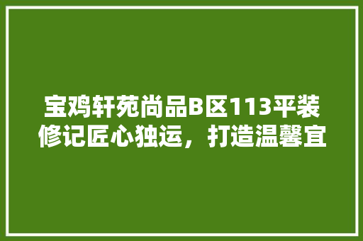 宝鸡轩苑尚品B区113平装修记匠心独运，打造温馨宜居之家