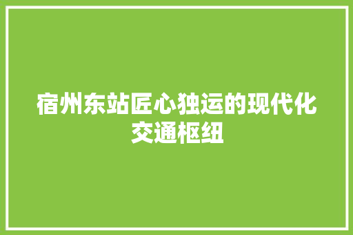 宿州东站匠心独运的现代化交通枢纽