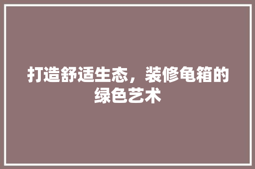 打造舒适生态，装修龟箱的绿色艺术