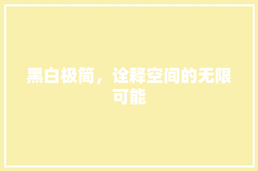 黑白极简，诠释空间的无限可能