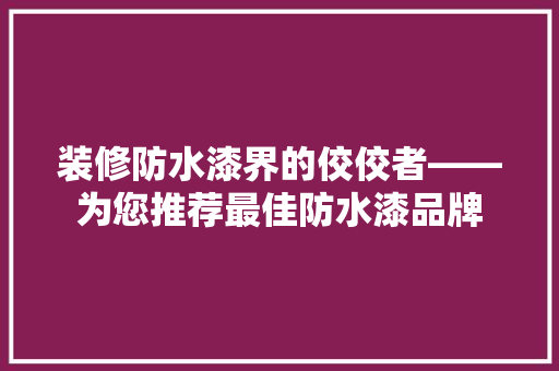装修防水漆界的佼佼者——为您推荐最佳防水漆品牌