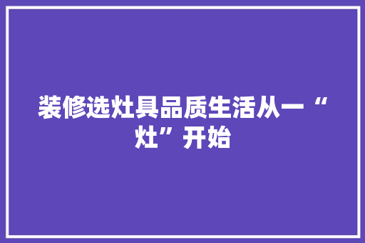 装修选灶具品质生活从一“灶”开始
