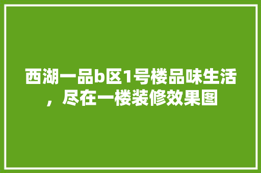 西湖一品b区1号楼品味生活，尽在一楼装修效果图