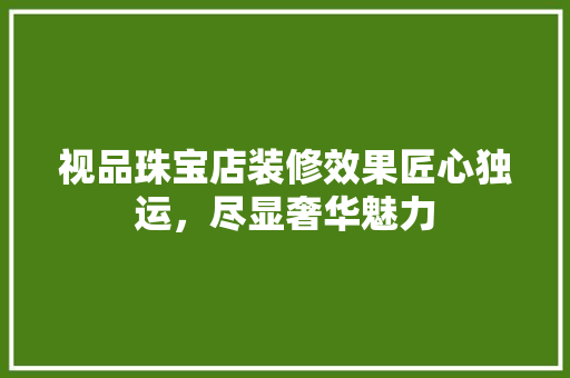 视品珠宝店装修效果匠心独运，尽显奢华魅力