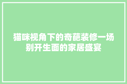 猫咪视角下的奇葩装修一场别开生面的家居盛宴
