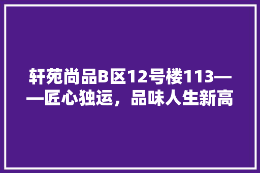 轩苑尚品B区12号楼113——匠心独运，品味人生新高度