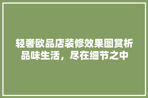 轻奢欧品店装修效果图赏析品味生活，尽在细节之中