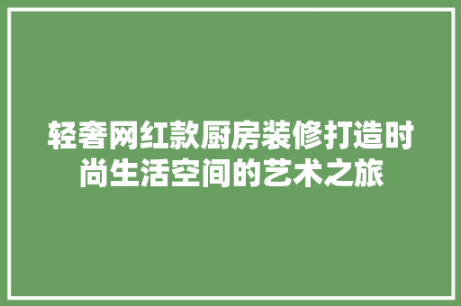 轻奢网红款厨房装修打造时尚生活空间的艺术之旅