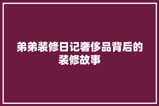 弟弟装修日记奢侈品背后的装修故事