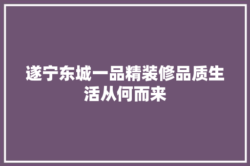 遂宁东城一品精装修品质生活从何而来